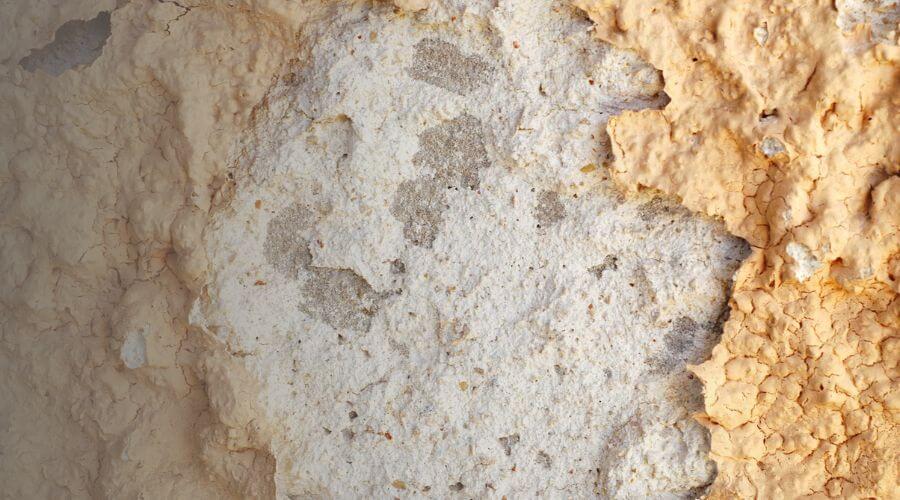 Why choose RenewApex for water damage restoration in Naperville